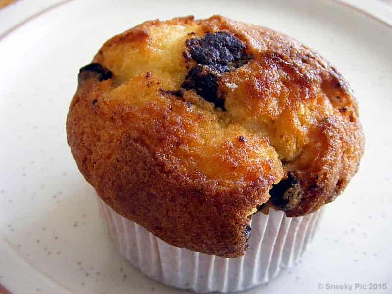Blueberry Muffin