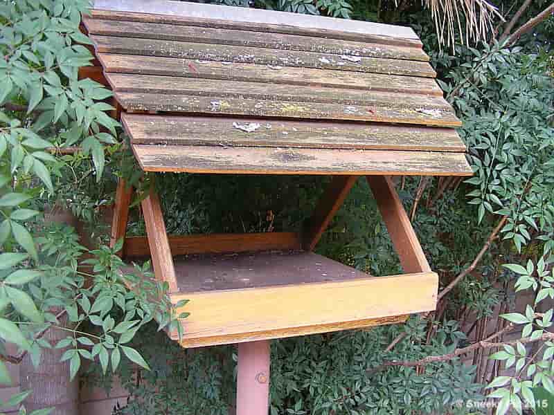 Bird Feeder / Table