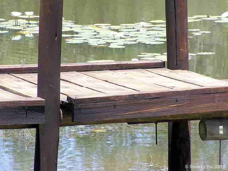 Jetty