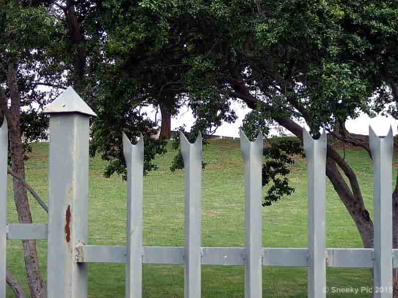 Palisade Fence