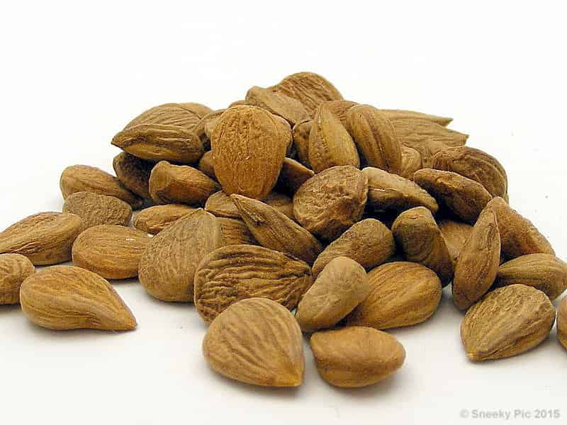 Apricot Kernels
