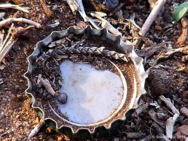 Bottle Cap Top