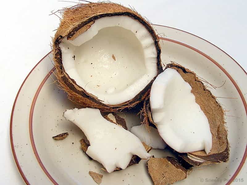 Inner Flesh of Coconut