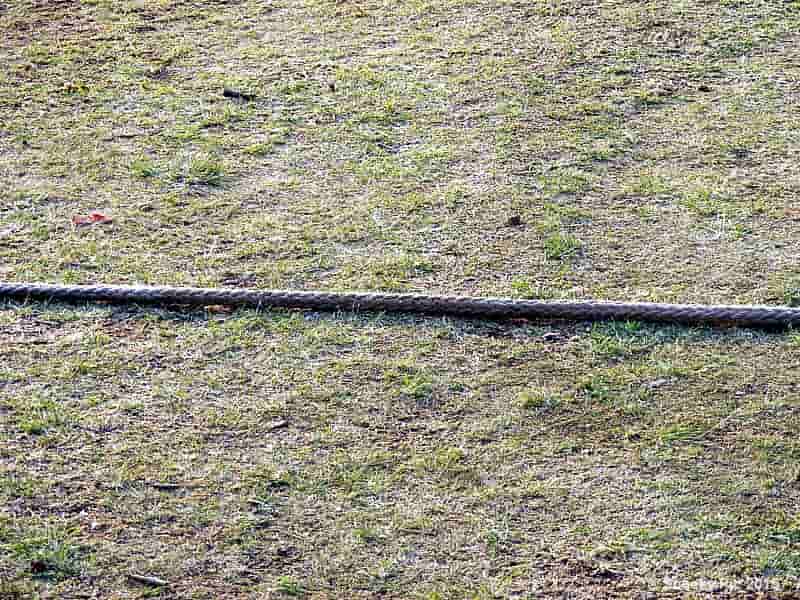 Thick Rope