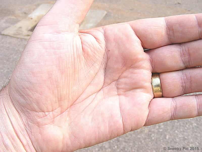 Palm of Hand