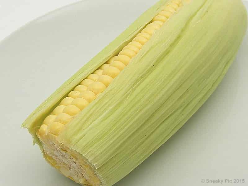 Maize Corn