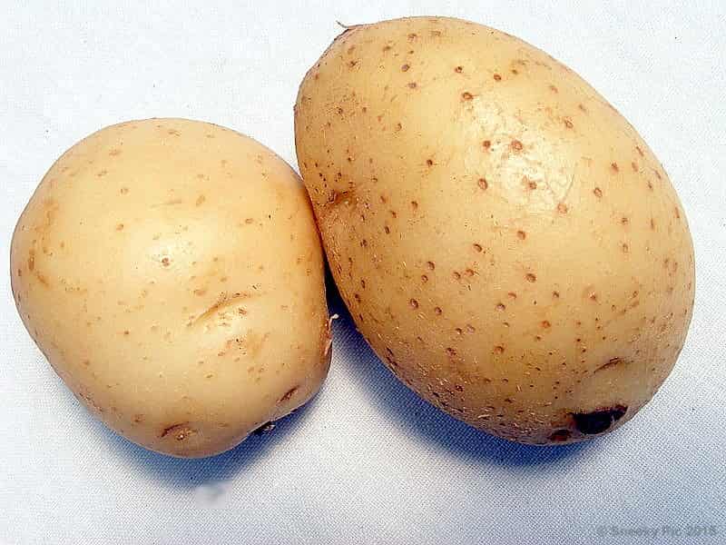Potatoes