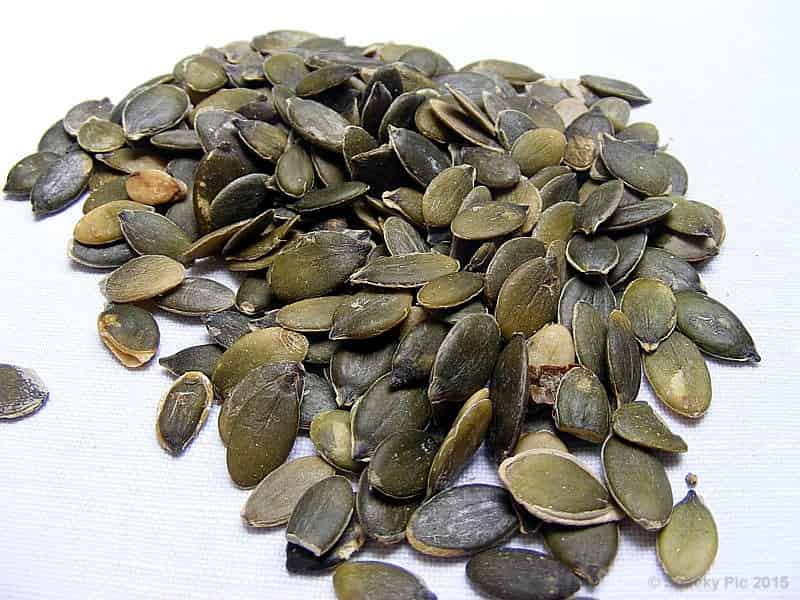 Pumpkin Seeds