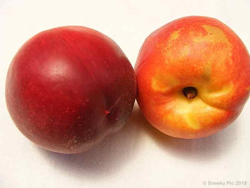Nectarines