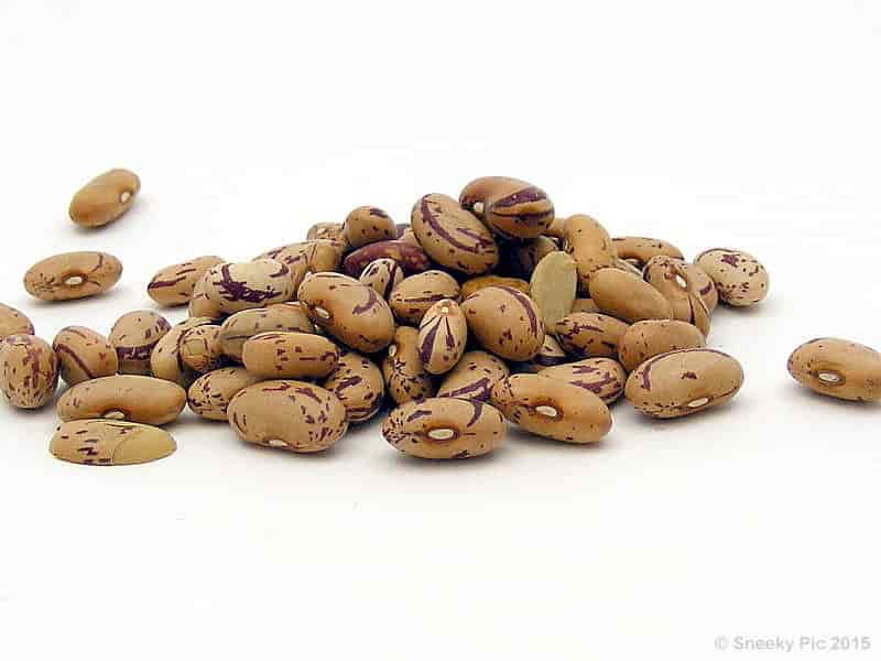 Red Speckled Beans