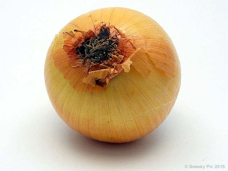 Onion