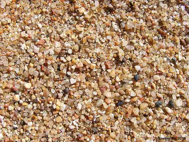 Beach Sand