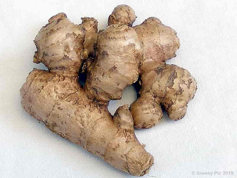 Ginger