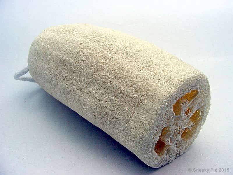 Loofah Sponge