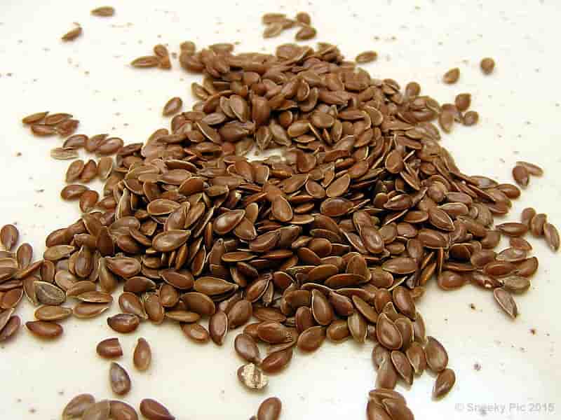 Flax Seed / Linseed