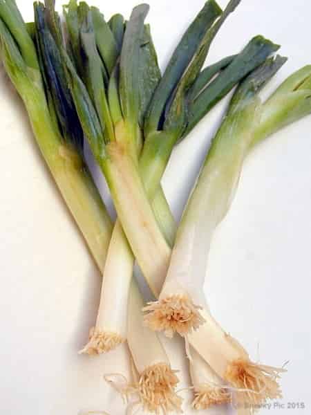 Spring Onions