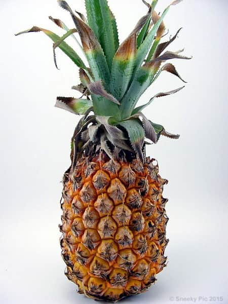 Pineapple