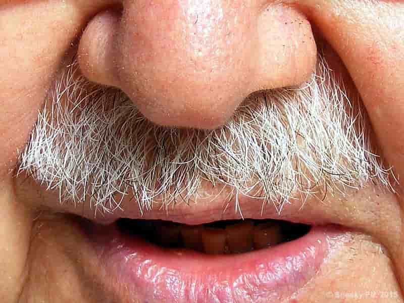 Moustache