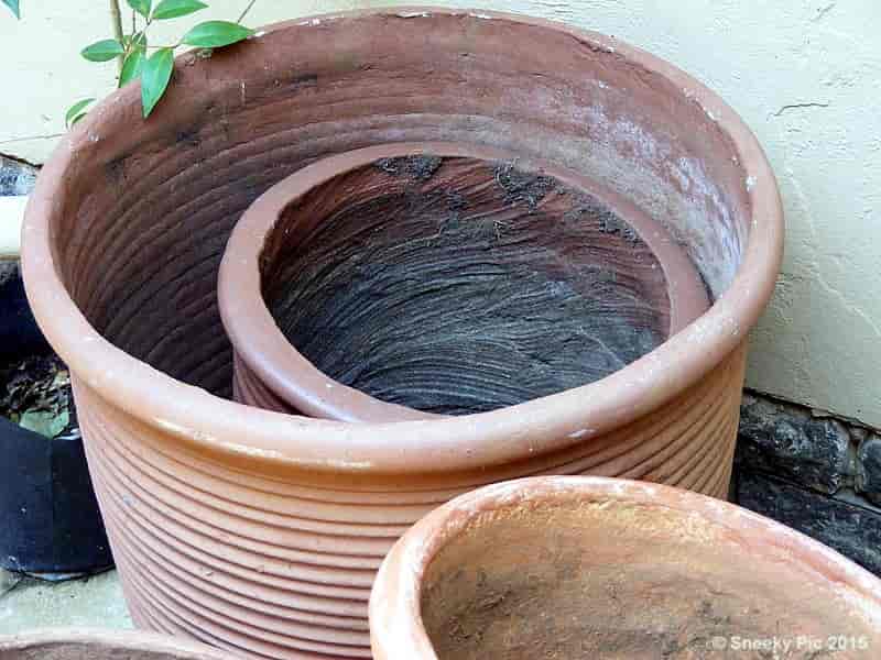 Pot Plant Holders