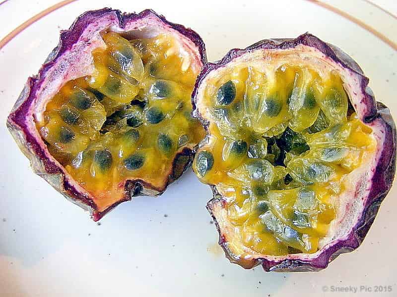 Passion Fruit / Grandilla