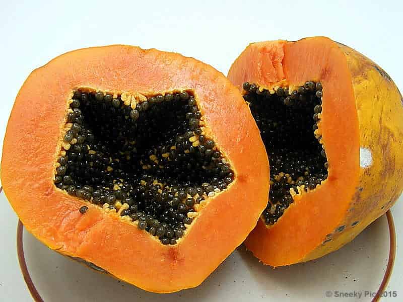 Paw Paw