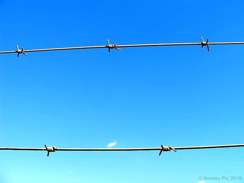 Barbed Wire