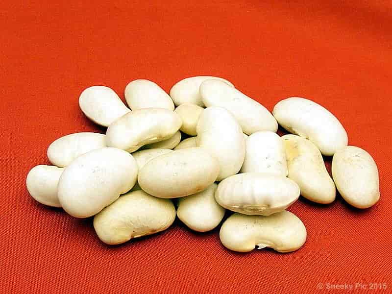 Kidney Beans