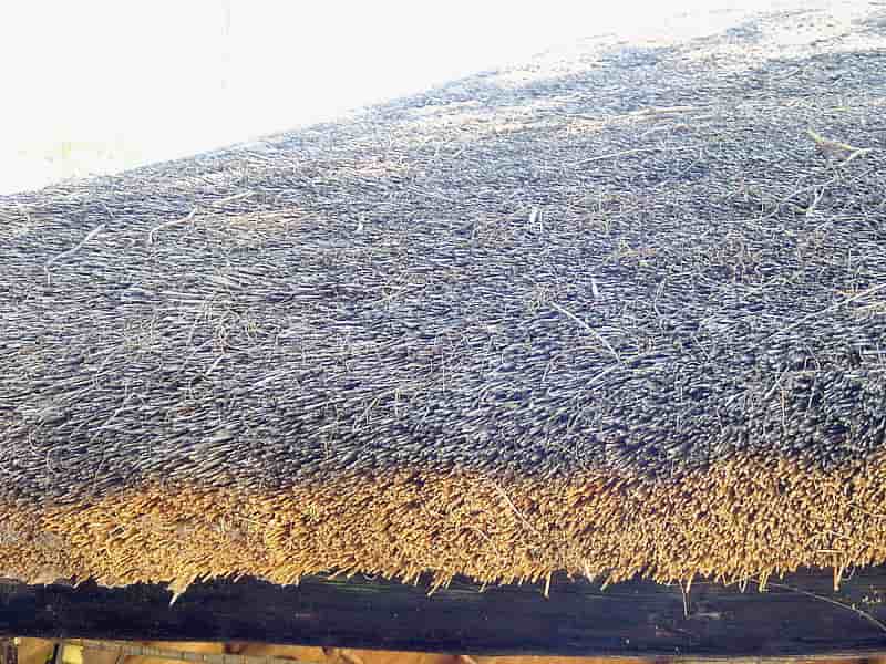Thatch Roof