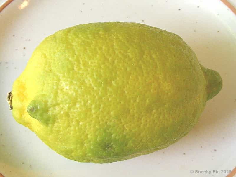 Lemon