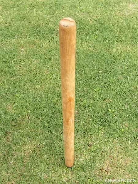 Cricket Stumps
