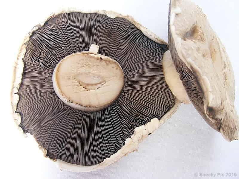 Brown Mushrooms