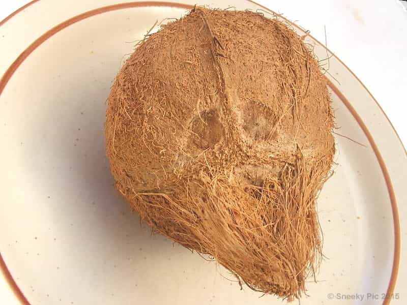Coconut