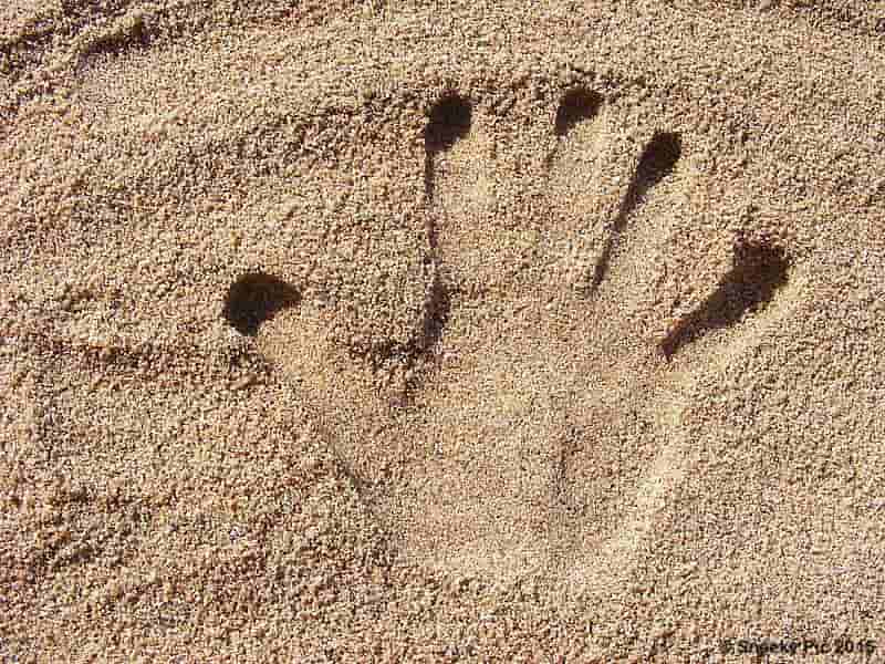 Handprint in Beach Sand