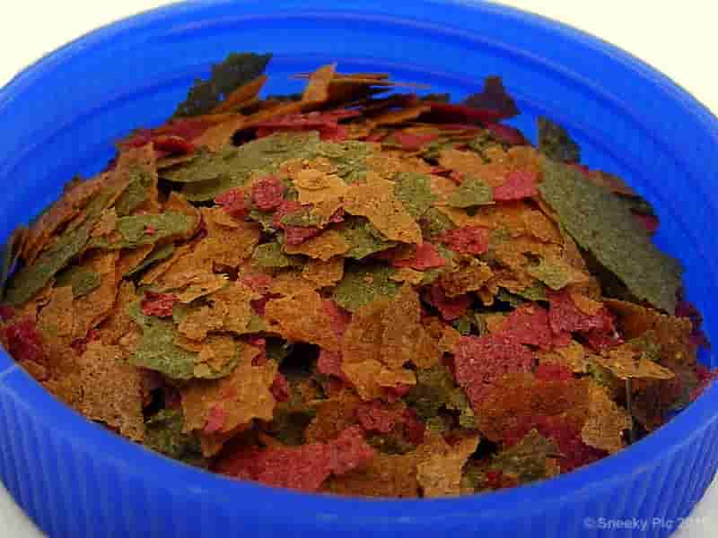 Fish Food Flakes