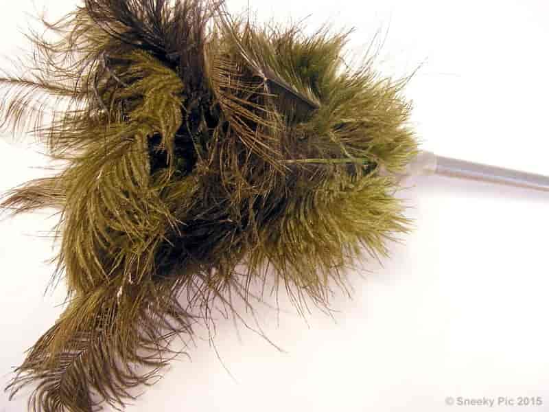 Feather Duster