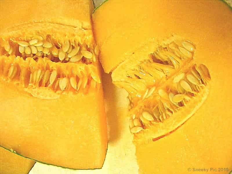 Melon / Cantaloupe